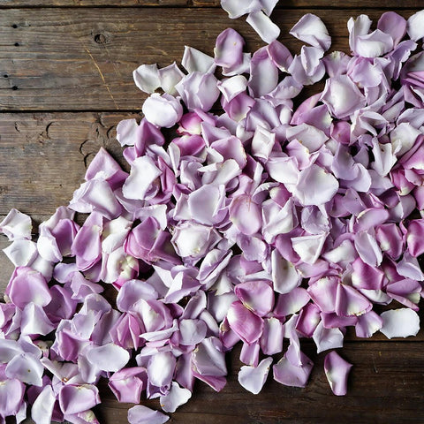 Lavender Rose Petals for sale