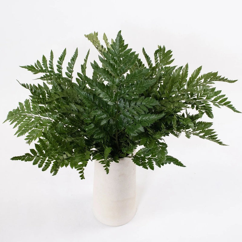 Leather Leaf Greenery Bunch in Vase