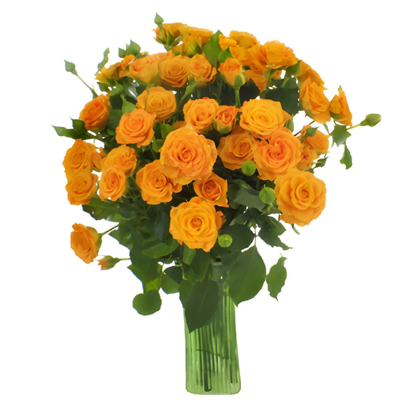 Light Golden Orange Spray Wholesale Roses In a vase