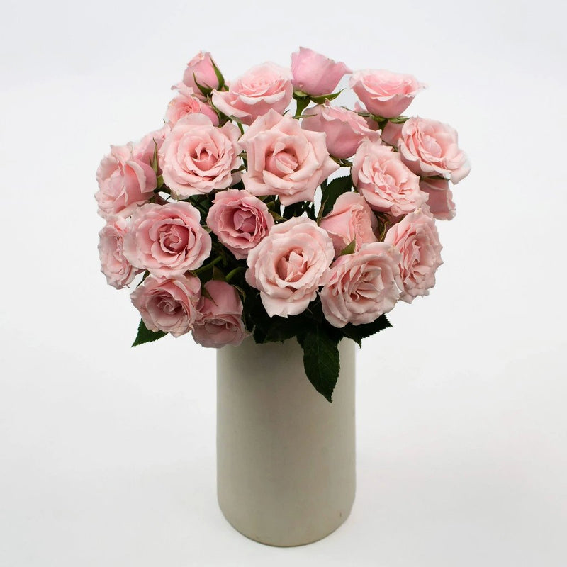 Light Pink Spray Roses Flower Bunch in Vase