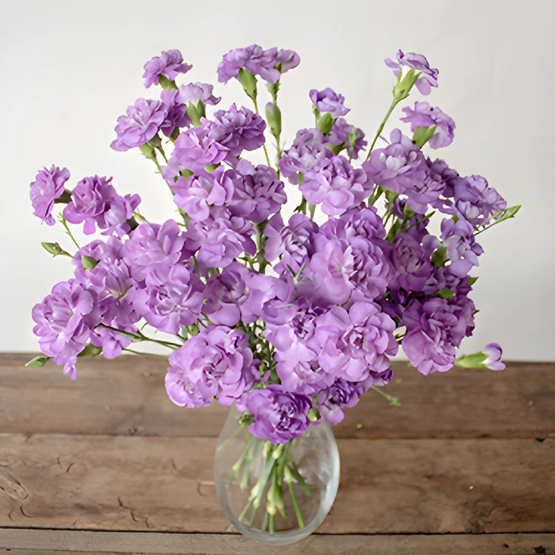 Light Purple Mini Carnation Flowers In a vase