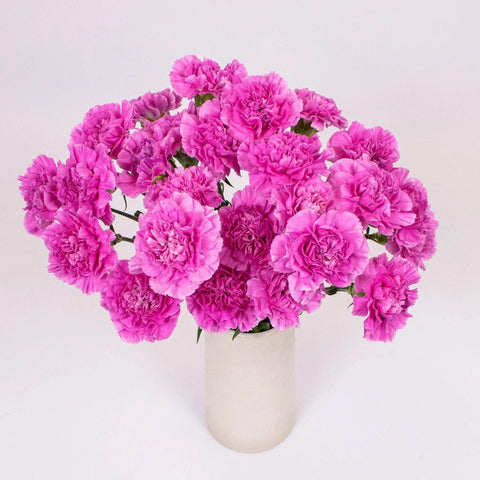 Pink Lilac Carnation Flower Bunch in Vase
