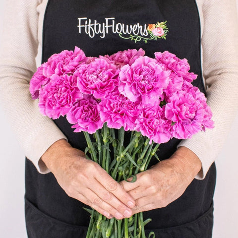 Pink Lilac Carnation Flower Bunch in Hand