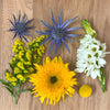 Save the Ecuadorian Field Flowers DIY Combo Box