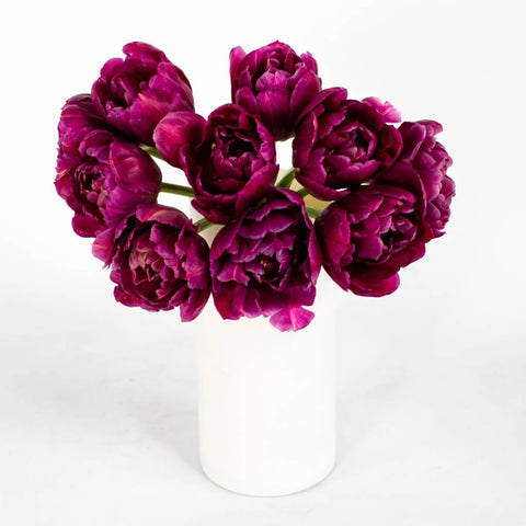Magenta Double Tulip Flower Bunch in Vase