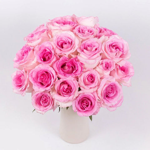 Mandala  Light Pink Rose - Rosas del Corazón