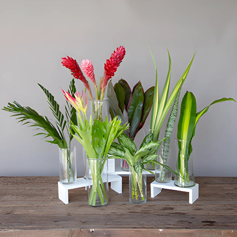 Maui Tropical DIY Flower Kit Bunch
