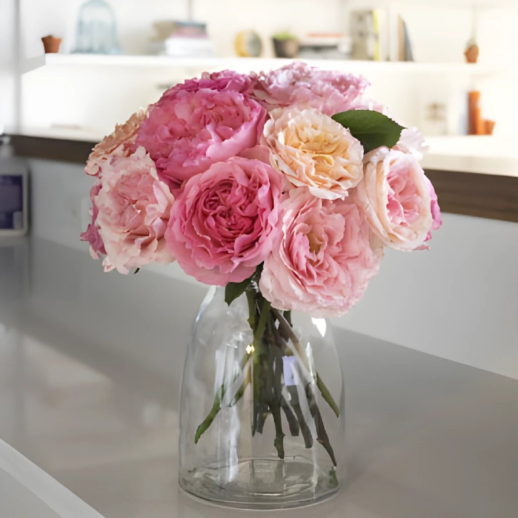 Buy Wholesale Sunset Hues Fresh Cut Pink Mayra Roses in Bulk - Fift...