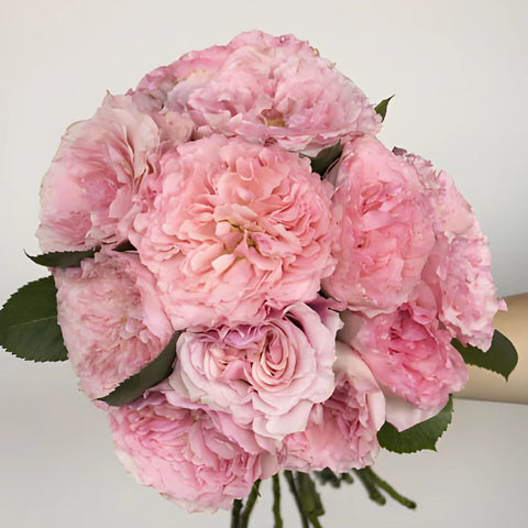 Mayra Pink Garden Wholesale Rose Bunch in a hand