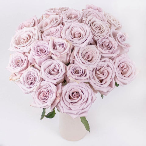 Menta Light Purple Roses in Vase