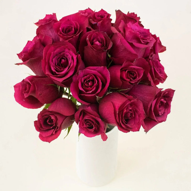 Merlot Red Valentines Roses in a Vase