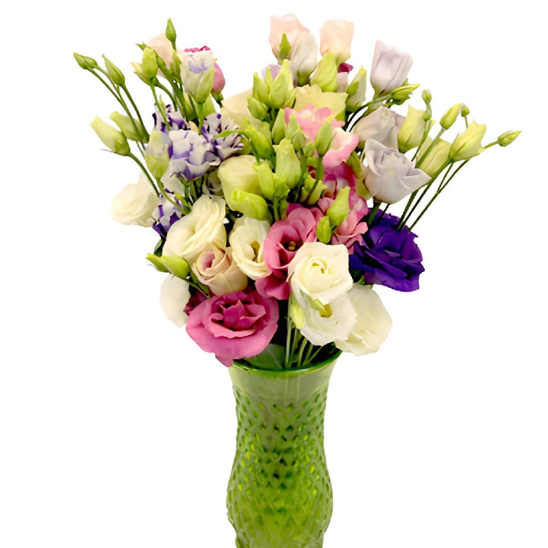 Mini Double Assorted Lisianthus Wholesale Flower In a vase