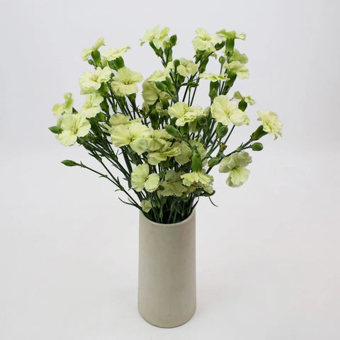 Mint Green Solomio Flower Bunch in Vase