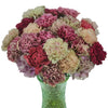 Mixed Color Vintage Carnations