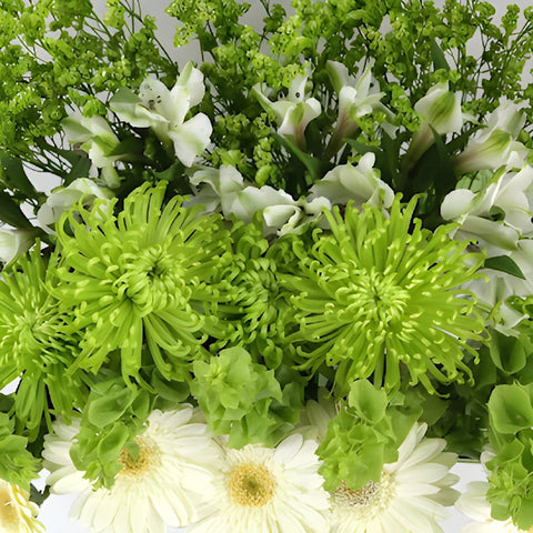 Monochromatic Green Combo DIY Flower Kit Up Close
