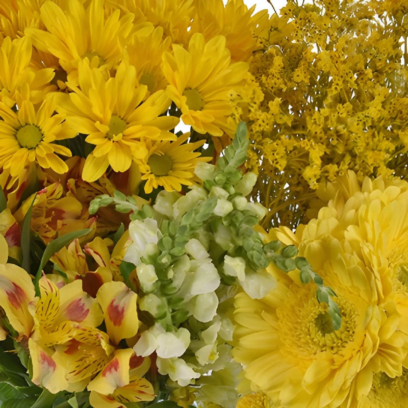 Monochromatic Yellow DIY Flower Kit Up Close