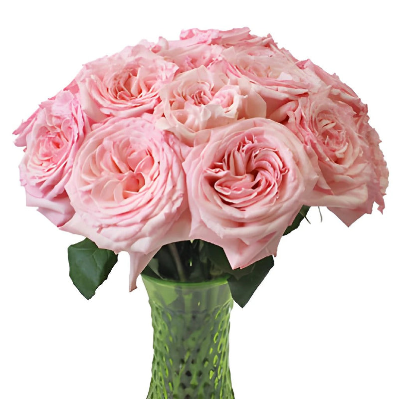 Naturally Pink Garden Wholesale Roses In a vase