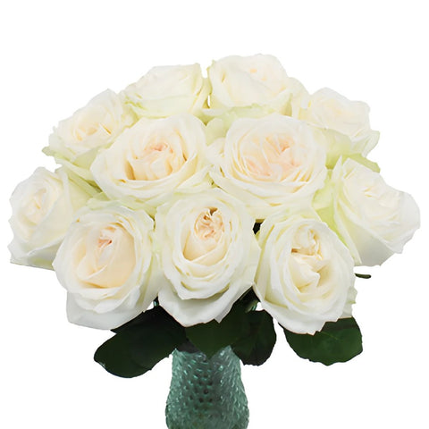 Naturally White Garden Wholesale Roses In a vase
