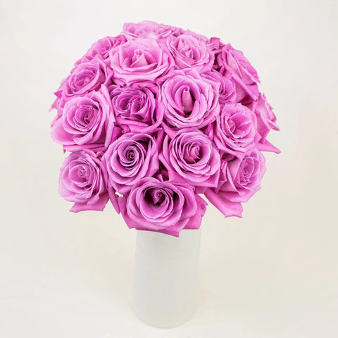 New Aqua Pink Roses in a Vase