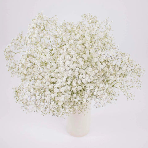 Baby's Breath White Wholesale Flower Stem in vase