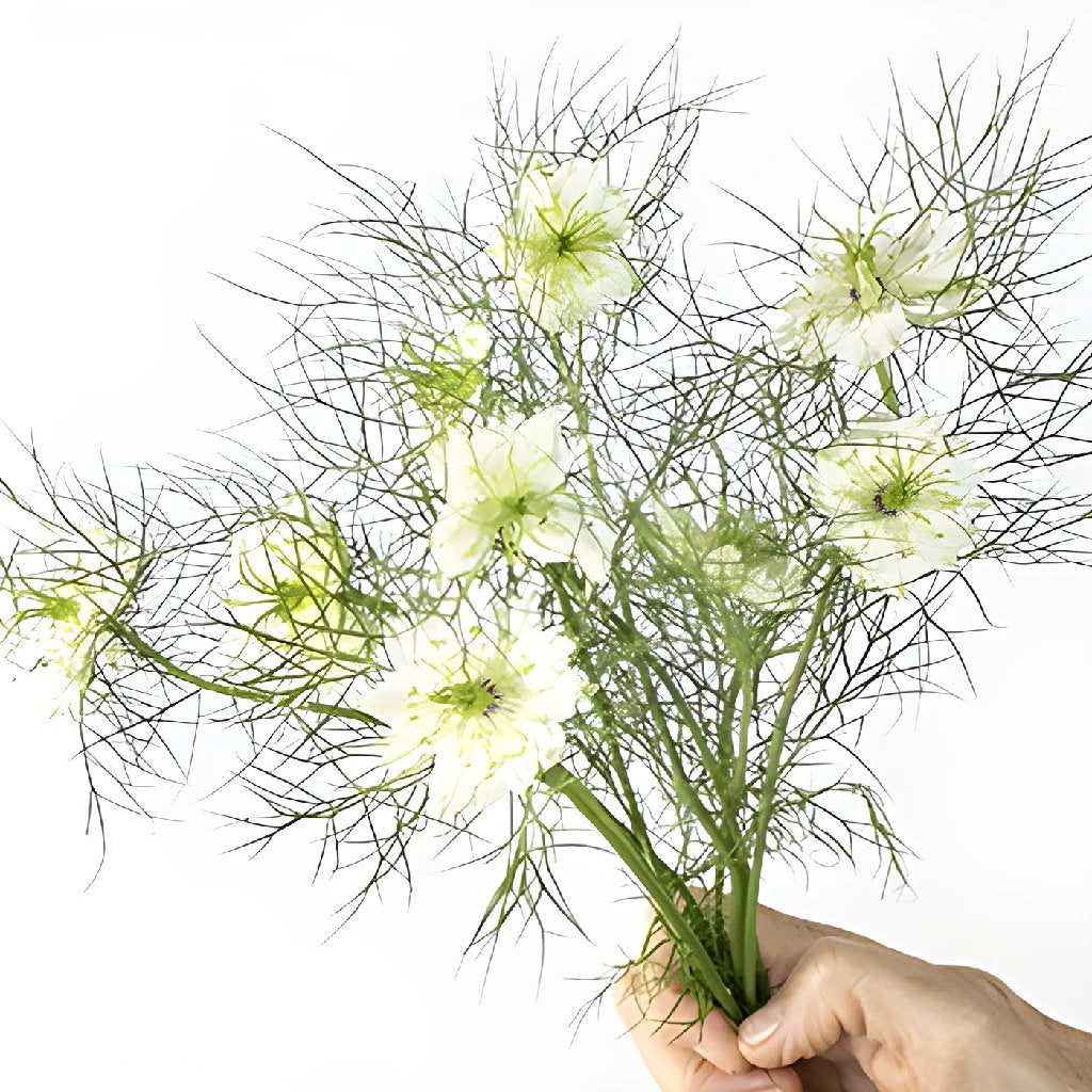 Rainbow Flowers from Paper with roses, baby's breath and store Love in the Mist blue Nigella flowers