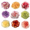 Mixed Color Novelty Carnation Flowers