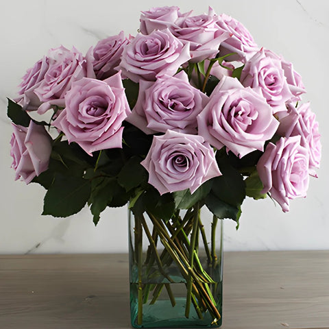 Fresh European Cut Lavender Roses For Your House