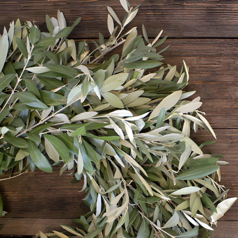 Olive Branch Wreaths