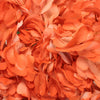 Orange Airbrushed Hydrangea