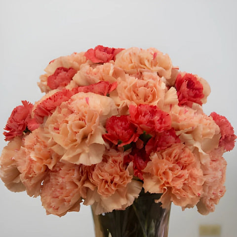 Orange Craze Carnation Flowers In a vase
