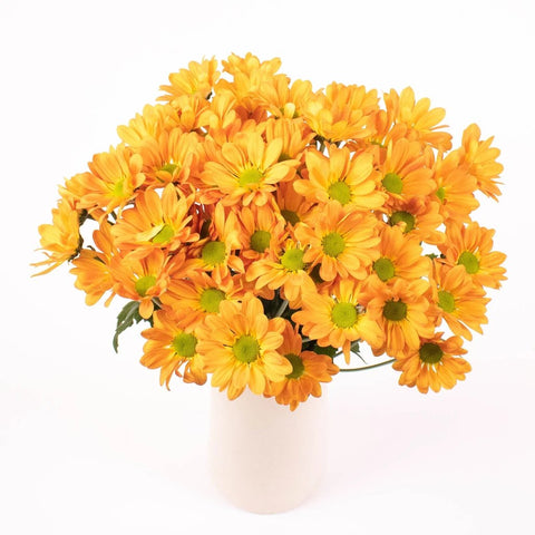 Orange Daisy Flower Bunch in Vase