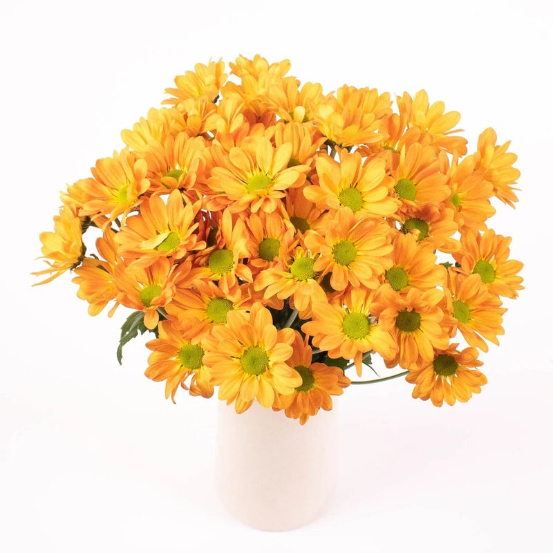 Orange Daisy Flower Bunch in Vase