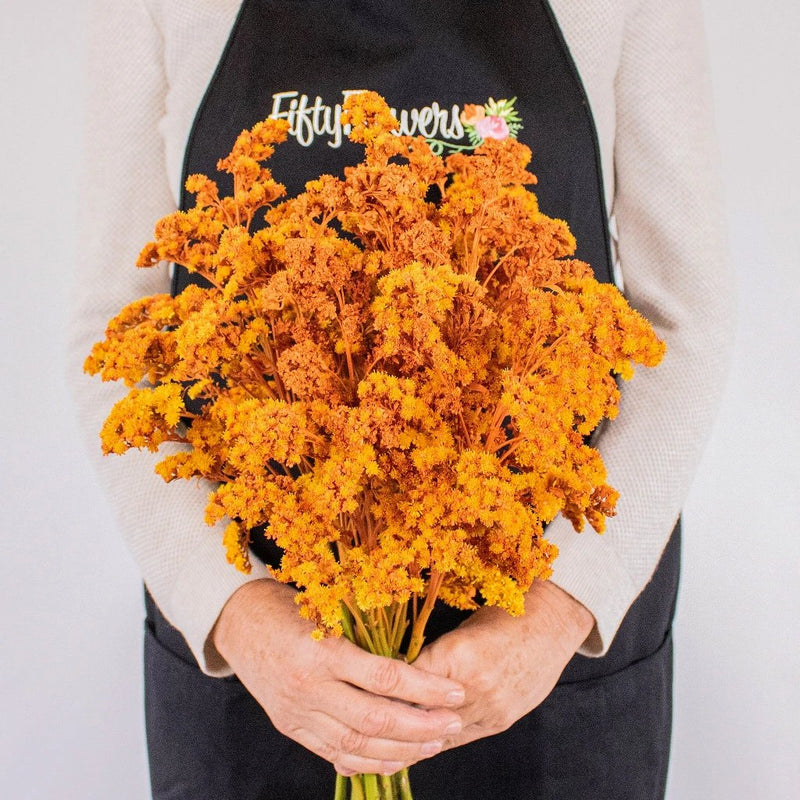 Orange Enhanced Estelle Filler Flower Bunch in Hand