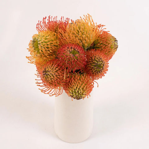 Orange Pin Cushion Flower Bunch in Vase