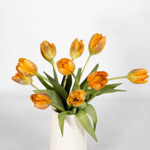 Orange Purple Tulip Flower Bunch in Vase