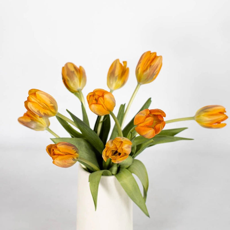 Orange Purple Tulip Flower Bunch in Vase