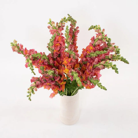 Orange Snapdragon Flower Bunch in Vase
