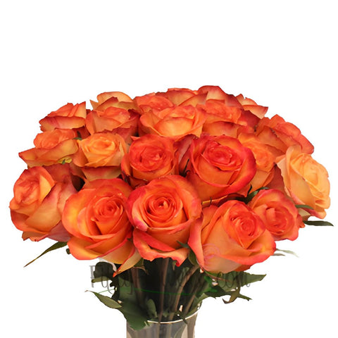 Orange Sunset Fidji Wholesale Roses In a vase