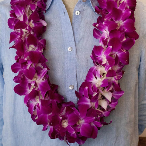 Orchids Bombay Wholesale Lei for Scale