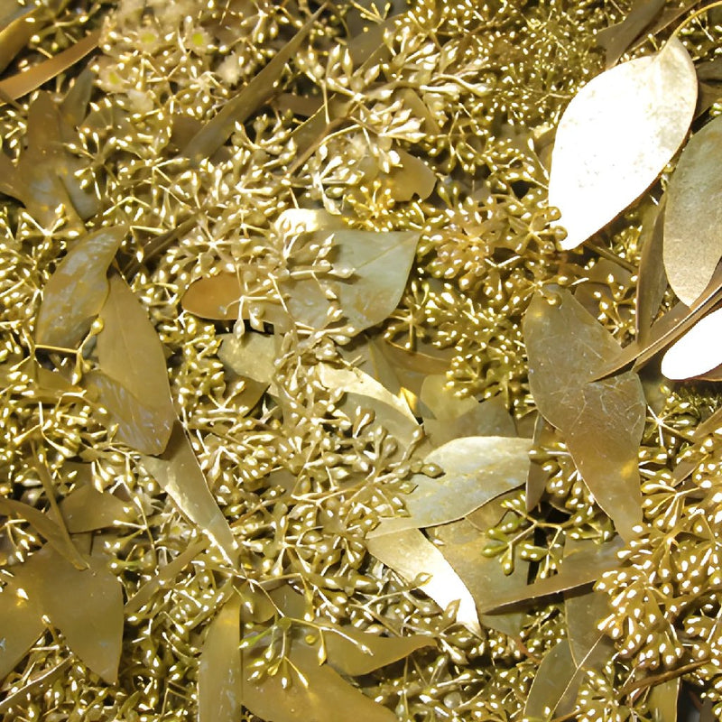 Gold Seeded Eucalyptus for Weddings