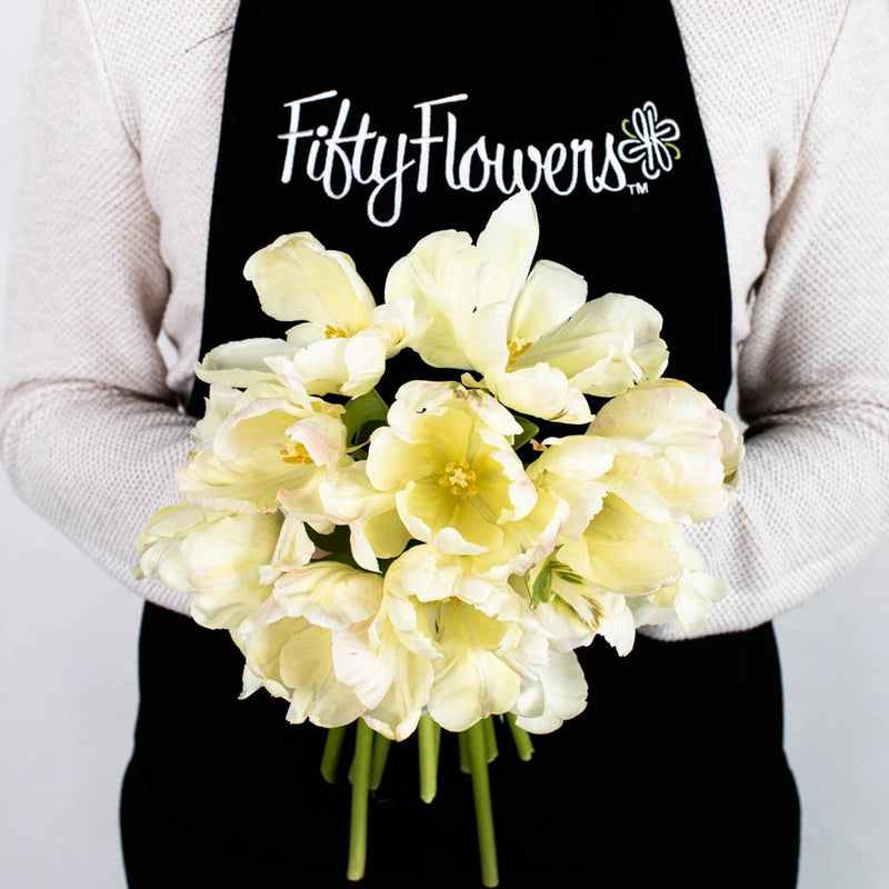 Pale Yellow Parrot Tulip Flower Bunch in Hand