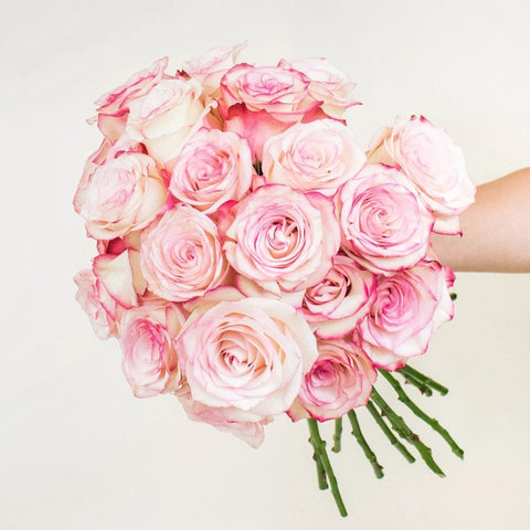 Paloma Pink Rose Bunch in a Hand