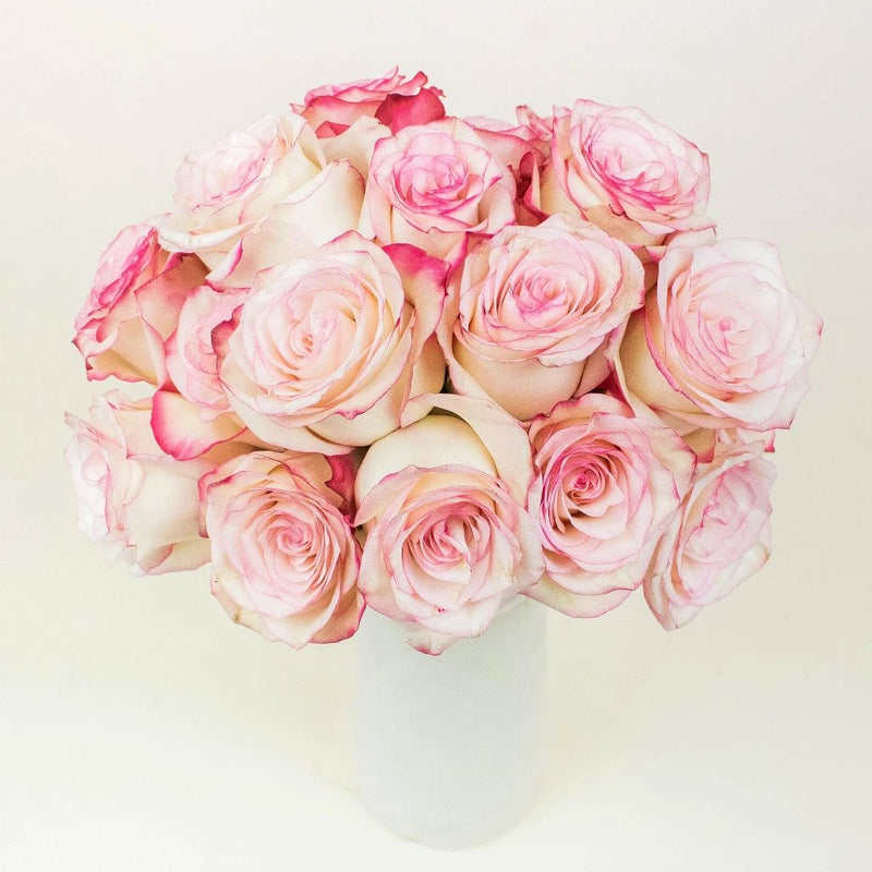 Paloma Pink Wholesale Roses In a Vase