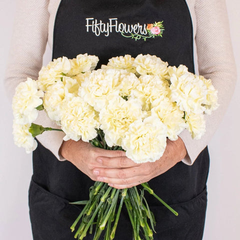 Pastel Yellow Wholesale Carnation Flower Bunch in Hand