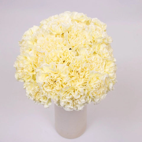 Pastel Yellow Wholesale Carnation Flower Bunch in Vase