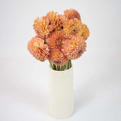 Peach Party Dahlia Flower Bunch in Vase