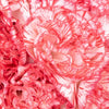 Peppermint Carnation Flowers