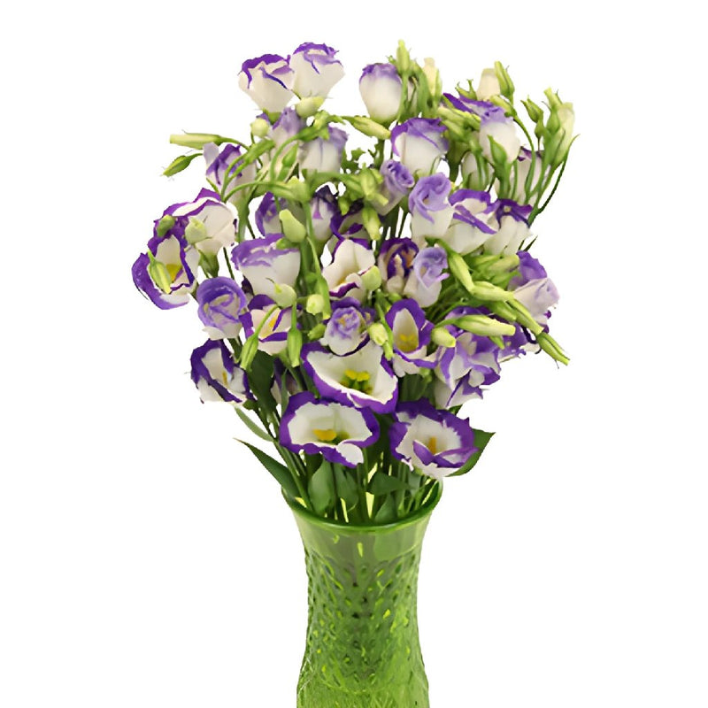 Piccolo Blue Single Lisianthus Wholesale Flower In a vase