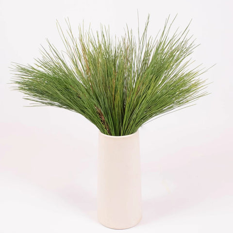 Long Needle Pine Greenery in Vase