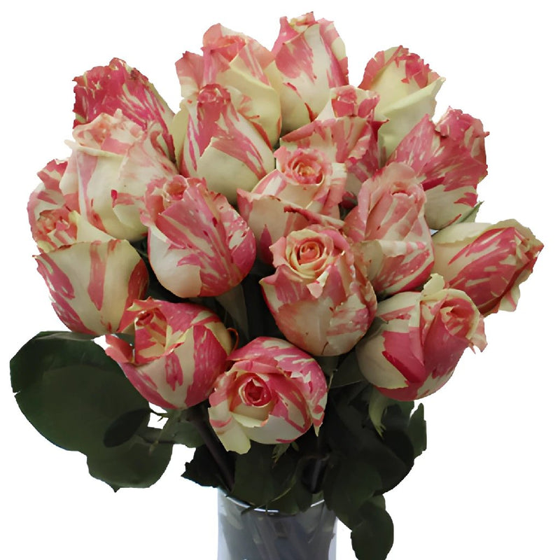 Pink and White Fiesta Wholesale Roses In a vase